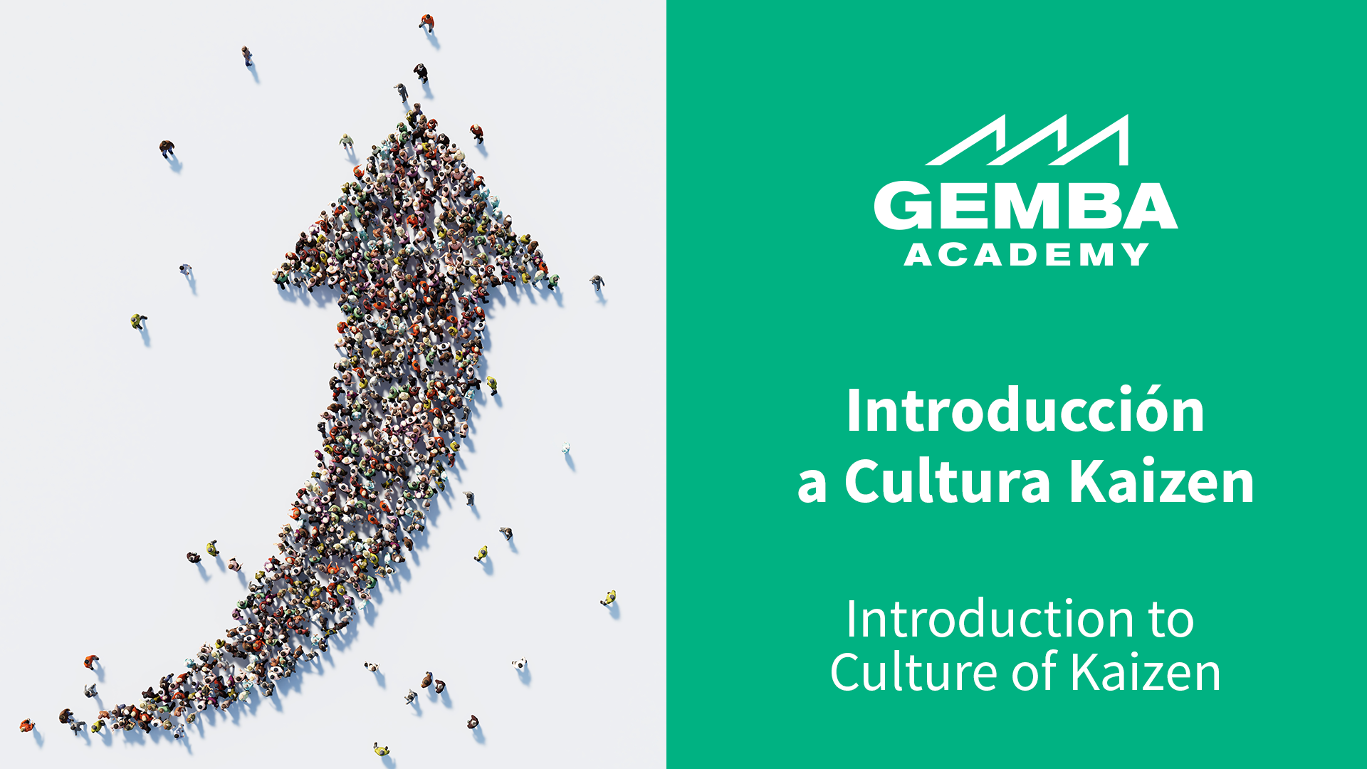 Ana Yt Slate 2 Co Kalt